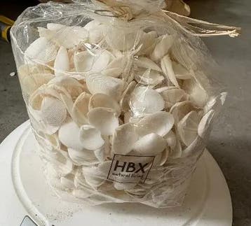 White Cay Cay Witte schelpjes 850 gram, Ophalen of Verzenden, Nieuw
