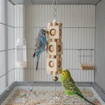 Kleurrijk Houten Papegaai Speelgoed - Verrijkende Knaagspeel