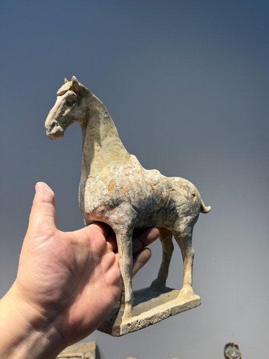 Oud Chinees, Tang-dynastie Keramiek Beschilderde Terracotta, Verzamelen, Mineralen en Fossielen