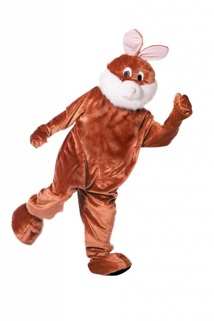 Mascotte verkleedpak paashaas, Kleding | Dames, Carnavalskleding en Feestkleding, Nieuw, Ophalen of Verzenden