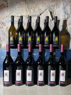 2020 6x Paolo Caccese Merlot & 2021 6x Sauvignon Collio DOC, Nieuw