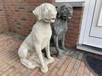 Labrador Retriever 85cm hoog en meer Tuinbeelden, Ophalen, Nieuw, Beton, Abstract beeld