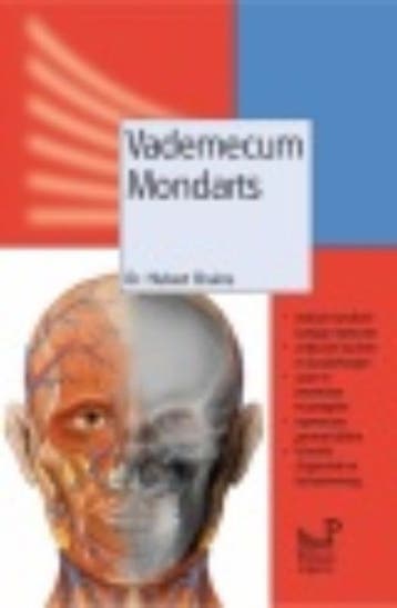 Vademecum Mondarts - H. Bruins 9789085620907, Verzenden, Gelezen, H. Bruins