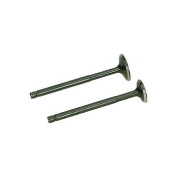 Kleppenset in- en uitlaat 2 stuks - motor XS1P37QMA / 3B3, Verzenden, Nieuw