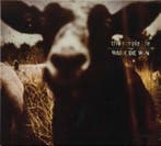 cd digi - Bart de Win - The Simple Life, Verzenden, Zo goed als nieuw