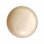 1 x Polaris Cabochon Jais Ivory 16,4mm (Cabochons en camée), Ophalen of Verzenden, Nieuw, Overige typen