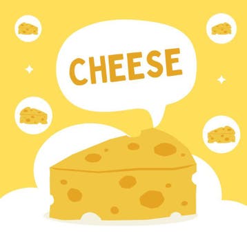 Cheese | Andries B.V. | Nieuw, Ophalen of Verzenden, Nieuw, Andries B.V.