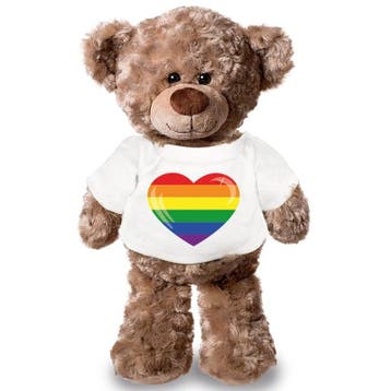 Knuffel teddybeer gaypride - pluche - 24 cm - met shirt, Verzenden, Nieuw