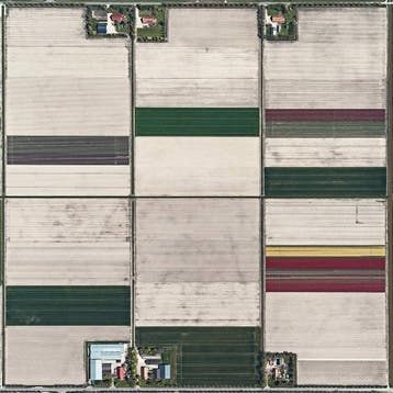 Bernhard Lang - AV_Tulip_Fields_002 XXL, Antiek en Kunst