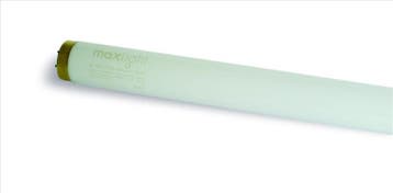 Maxlight XL 120w Reflector lamp, Verzenden, Nieuw