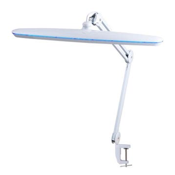 SBR Deluxe Daglichtlamp – Dimbare LED Bureaulamp met Extra G, Ophalen of Verzenden, Nieuw