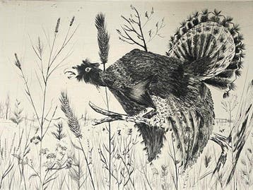 Yves Grandemange (1928–1952) - Oiseau dans un champ 1950