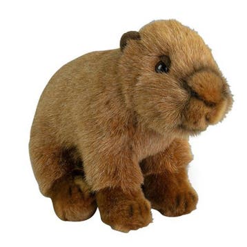 Nature Planet capybara knuffel - pluche - bruin - 20 cm, Verzenden, Nieuw