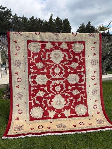Volledig nieuw Ziegler-rug - Tapijt - 250 cm - 210 cm, Nieuw