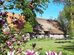 Vakantiewoning in de natuur - Drenthe | Paard en hond welkom, In bos, Huisdier toegestaan, 2 slaapkamers, Appartement