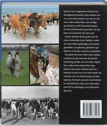 Koeien 9789068685589 Anno Fokkinga, Verzenden, Gelezen, Anno Fokkinga