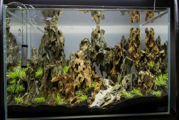 Dragon stone 30-50cm - aquarium decoratie stenen, Verzenden, Nieuw, Plant(en), Steen of Hout