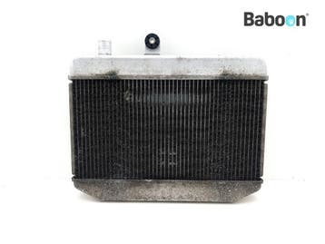 Radiateur Suzuki AN 400 Burgman 2018-2020  (AN400), Verzenden, Gebruikt