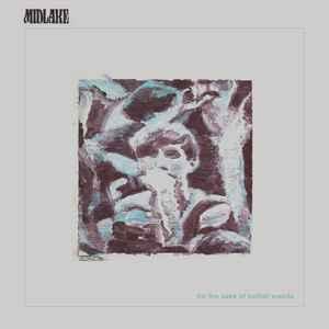 lp nieuw - Midlake - For The Sake Of Bethel Woods, Verzenden, Zo goed als nieuw, Overige formaten