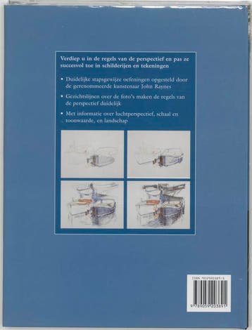 Teken- en schildertechnieken Perspectief / Teken- en, Boeken, Verzenden, Zo goed als nieuw, J. Raynes
