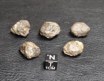 NWA 869 (L3-6 S3 W1) gewone chondriet - 41.14 g
