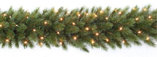 2dekans | Triumph Tree Forest Frosted Guirlande met LED, Diversen, Kerst, Zo goed als nieuw, Ophalen of Verzenden