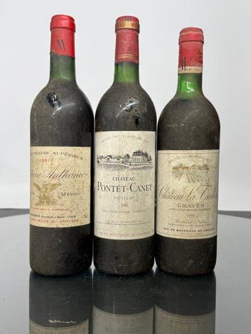 1981 Chateau Pontet-Canet, Château Anthonic & Château de La, Nieuw