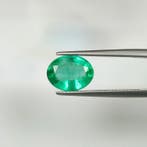 Groen Smaragd - 2.84 ct - International Gemological, Nieuw