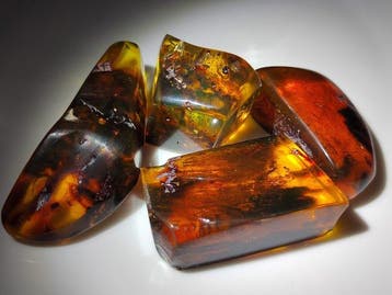 Dominicaanse amber!! AAA-kwaliteit - Geen minimumprijs- 91 g