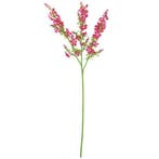 Chloe Kattenmunt Beauty Zijdenbloem 75 cm per stuk, Ophalen of Verzenden, Nieuw