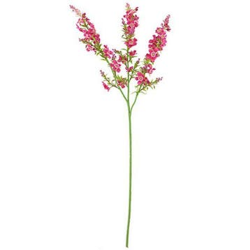 Chloe Kattenmunt Beauty Zijdenbloem 75 cm per stuk, Ophalen of Verzenden, Nieuw