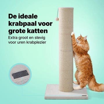 2dekans | Jake and Jacky Krabpaal voor Grote Katten -, Dieren en Toebehoren, Ophalen of Verzenden, Zo goed als nieuw