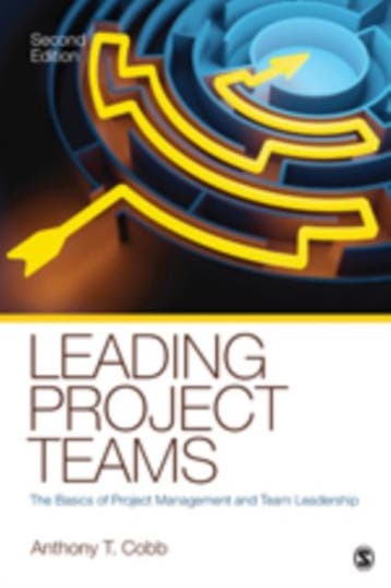Leading Project Teams |  | Nieuw, Ophalen of Verzenden, Nieuw
