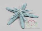 Zeester Starfish Lichtblauw ca. 5-10 cm Set van 3 stuks, Ophalen of Verzenden, Nieuw