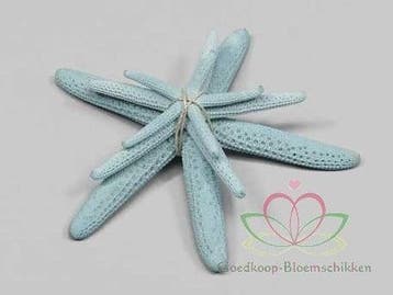 Zeester Starfish Lichtblauw ca. 5-10 cm Set van 3 stuks, Ophalen of Verzenden, Nieuw