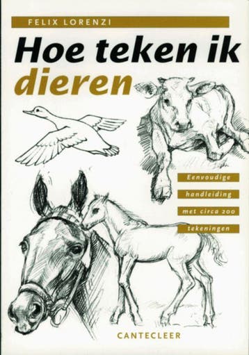 Hoe teken ik Hoe teken ik dieren / Hoe teken ik F. Lorenzi, Verzenden, Zo goed als nieuw, F. Lorenzi