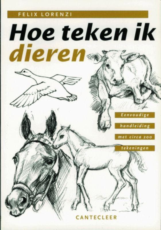 Hoe teken ik Hoe teken ik dieren / Hoe teken ik F. Lorenzi, Boeken, Hobby en Vrije tijd, Zo goed als nieuw, Verzenden