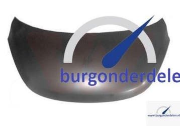Hyundai I10 Scherm Motorkap 2008-2016 - Burg Onderdelen, Auto-onderdelen, Ophalen of Verzenden, Nieuw, Hyundai, Motorkap