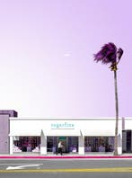 Téber - Paint the Town Violet