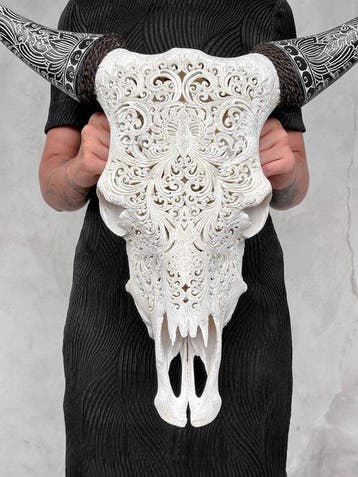 GEEN RESERVEPRIJS - C-White koe-schedel met Boheemse