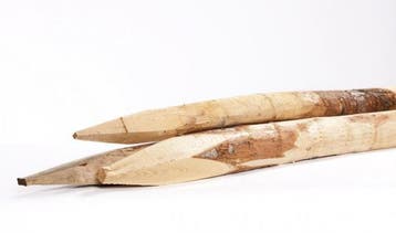 Kastanje weidepaal, kop 10-12, lengte 200, Ophalen of Verzenden, Nieuw