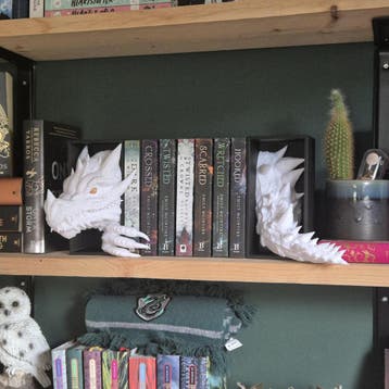 Book nook white Dragon Head and Tail - DnD DM Screen - 2-in-, Verzenden, Nieuw