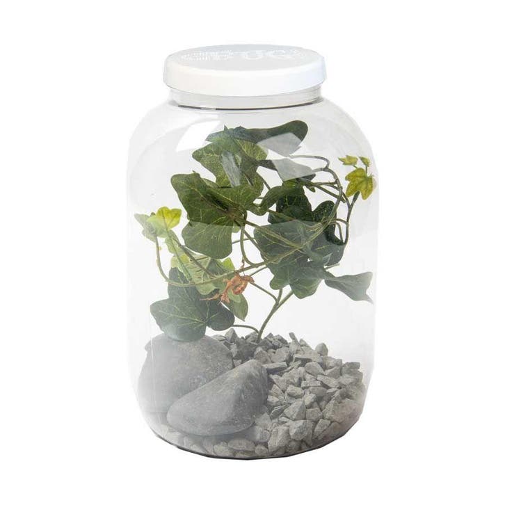 BUGzzz L insectenverblijf 5000ml, Dieren en Toebehoren, Insecten en Spinnen