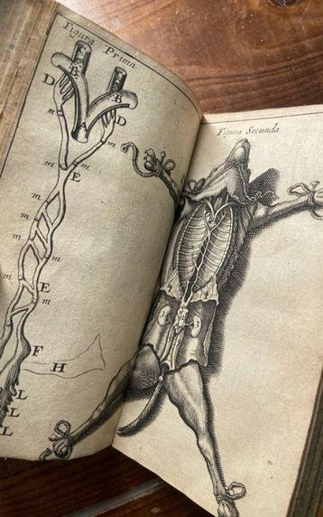 Joannis Pecqueti - Experimenta Nova Anatomica - 1651