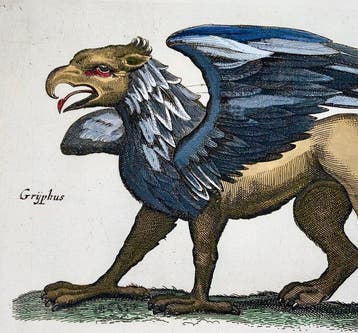 Matthäus Merian (b.1593) Folio: Mythological Griffin,