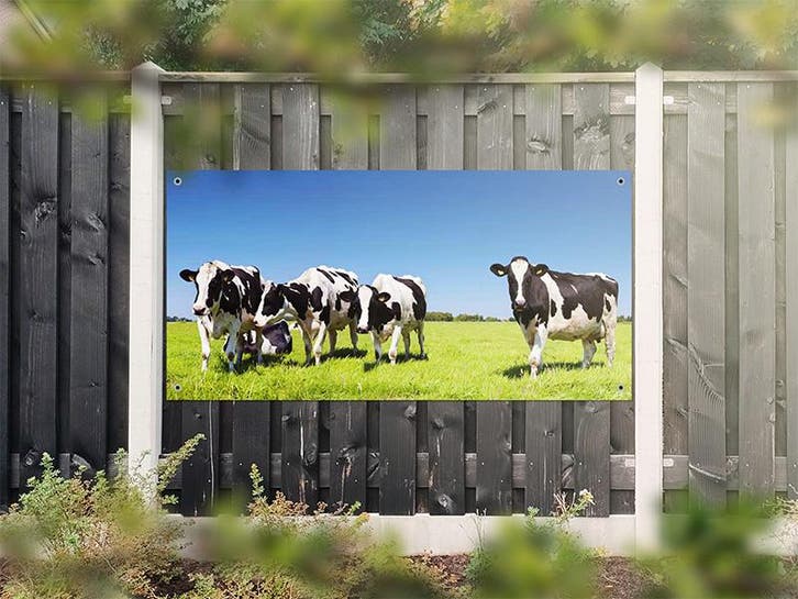 NR 1217: Tuinposter zwart-witte koeien in wei 90x180cm, Tuin en Terras, Tuinwanddecoratie, Nieuw