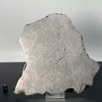 XXL Muonionalusta Metalen meteoriet, Widmanstättenlijnen en