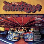 LP nieuw - The Waterboys - Room To Roam, Verzenden, Nieuw in verpakking