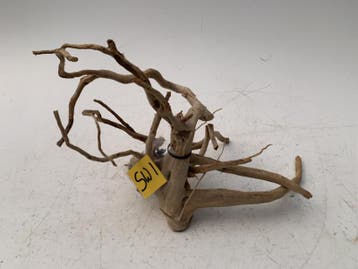 Spiderwood Selected SW1 - 48x23x23cm (Spider wood), Ophalen of Verzenden, Nieuw, Plant(en), Steen of Hout