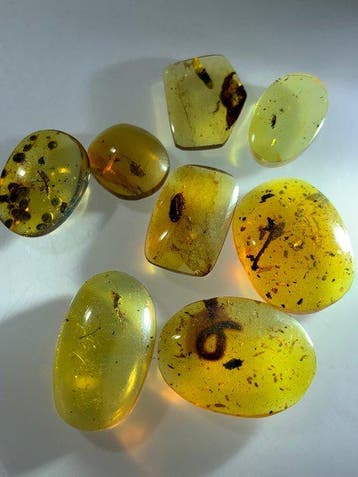 100 miljoen jaar oud natuurlijk Birmaans insectenamber. -